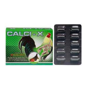 CALCI-X (100 Tablets)