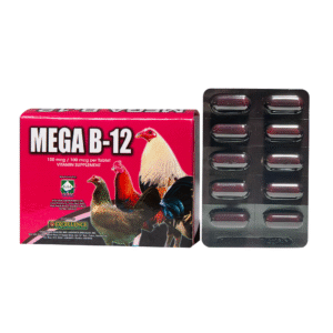 MEGA B12 (100 Tablets)